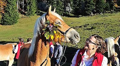 Eine Frau in roter Weste steht lächelnd neben einem Pferd mit Blumendekoration am Zaumzeug. Im Hintergrund sind grüne Wiesen und vereinzelte Bäume zu sehen.