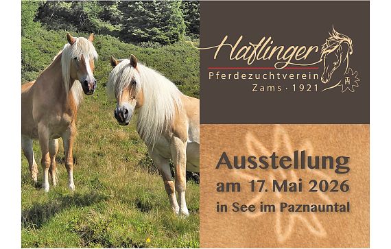 haflinger-jubilaeumsausstellung-zams-2