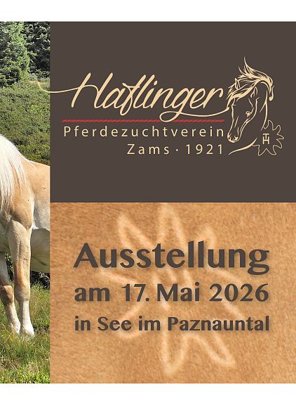 haflinger-jubilaeumsausstellung-zams-3