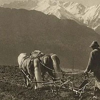 A farmer plows a field with a horse-drawn plow in a mountainous landscape. Snow-capped peaks rise in the background under an overcast sky.