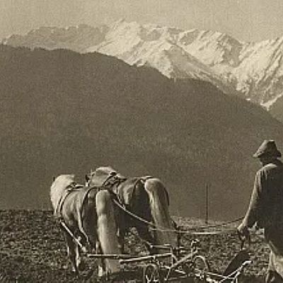 Contadino con cavalli che tirano un aratro in un campo. Montagne innevate sullo sfondo. Immagine in bianco e nero con atmosfera storica.