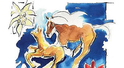 Bunte Illustration von zwei galoppierenden Pferden mit weißen Mähnen auf blauem Hintergrund, umgeben von einer stilisierten Blume in leuchtenden Farben.