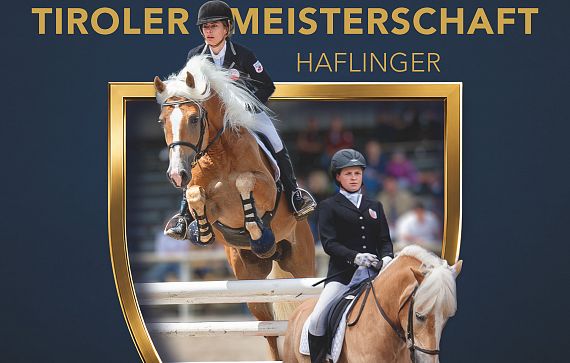 haflingermeisterschaft-dressur-springen-a4-ansicht-2
