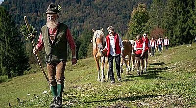 Eine Gruppe von Männern in traditioneller bayerischer Kleidung führt Pferde durch eine Wiese vor einem bewaldeten Hintergrund. Einer hält einen Stock mit Zweigen.