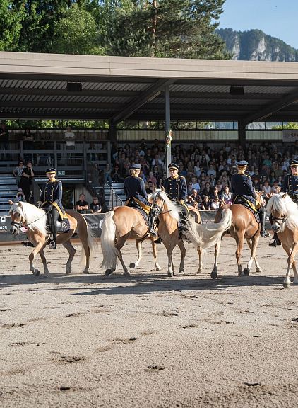 Gruppe von Reitern in traditioneller Kleidung führt auf einer überdachten Arena ein synchrones Pferdedressurprogramm vor, umgeben von Publikum.