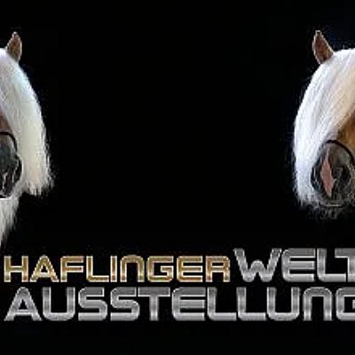 Zwei Haflinger-Pferde mit blonder Mähne blicken auf schwarzem Hintergrund. Zwischen ihnen steht der Schriftzug "Haflinger Welt Ausstellung".