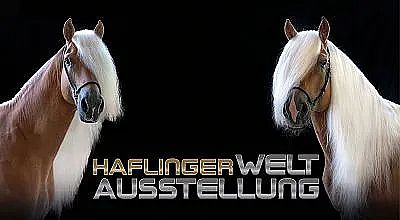 Zwei Haflinger-Pferde mit blonder Mähne blicken auf schwarzem Hintergrund. Zwischen ihnen steht der Schriftzug "Haflinger Welt Ausstellung".