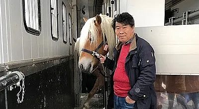 Ein Mann steht neben einem Pferd mit blonder Mähne in einem Anhänger. Der Mann trägt einen roten Pullover und eine Jacke. Die Umgebung ist sauber und hell.