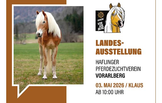 inserate-hengstkatalog-2026-6-2