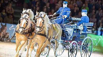 Zwei hellbraune Pferde ziehen eine historische Kutsche, gesteuert von Fahrern in blauen Uniformen. Die Szene ist in einer beleuchteten Arena.