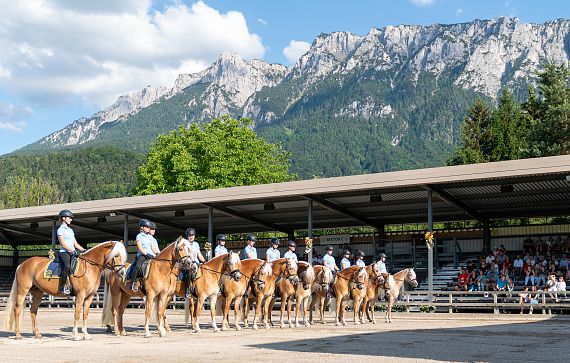 schulquadrille-fohlenhof-ebbs-2