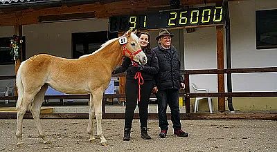 Ein junges Pferd mit einem roten Halfter steht neben einer Frau und einem Mann vor einem Gebäude. Im Hintergrund ist eine elektronische Anzeigetafel zu sehen.