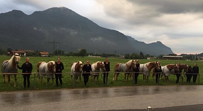 Pferde der Walküren - Tiroler Festspiele Erl 2016