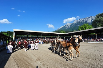 Ausschreibung Haflinger Weltausstellung 2020