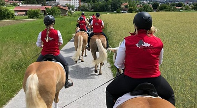 Night Show der Haflinger Jungzüchter