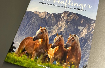 Buch: Der Haflinger - Begegnungen in Tirol Südtirol und im Trentino
