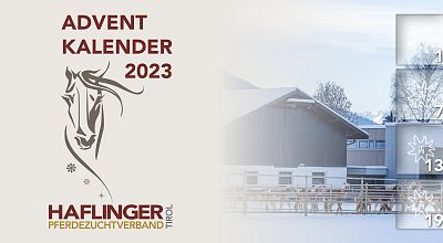 Adventskalender 2023