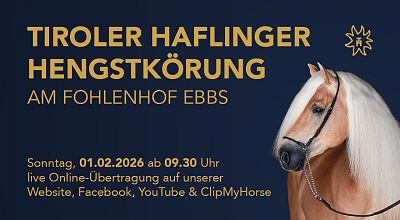 Tiroler Haflinger Hengstkörung - 01.02.2026