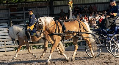 Opening ceremony with Tyrolean Haflinger Stallion Parade