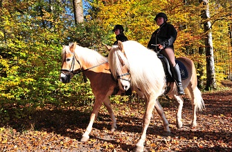 Register riding lessons