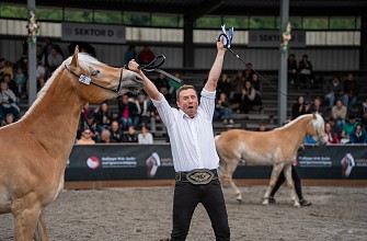 Ergebnisse - Haflinger Weltausstellung