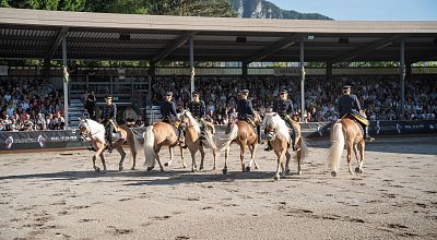 Reitinstruktor/in gesucht!
