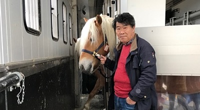 Presseinformation - Export von Haflinger Zuchtpferden nach Südkorea