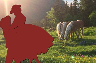 Ebbser Haflinger Ball