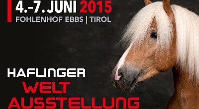 Presseinformation: 04 - 07.06.2015: Haflinger Weltausstellung