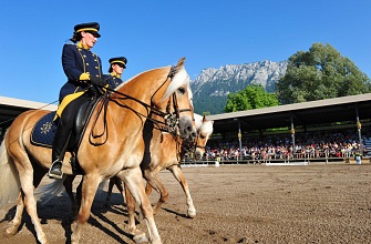 Biglietti d’ingresso per l’Haflinger Show