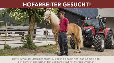 Offene Stellen am Fohlenhof Ebbs