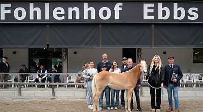 Nachbericht - 59. Tiroler Haflinger Stutfohlenauktion