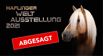 Haflinger Weltausstellung | ABGESAGT