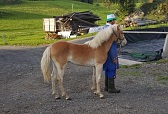 Denerys_1