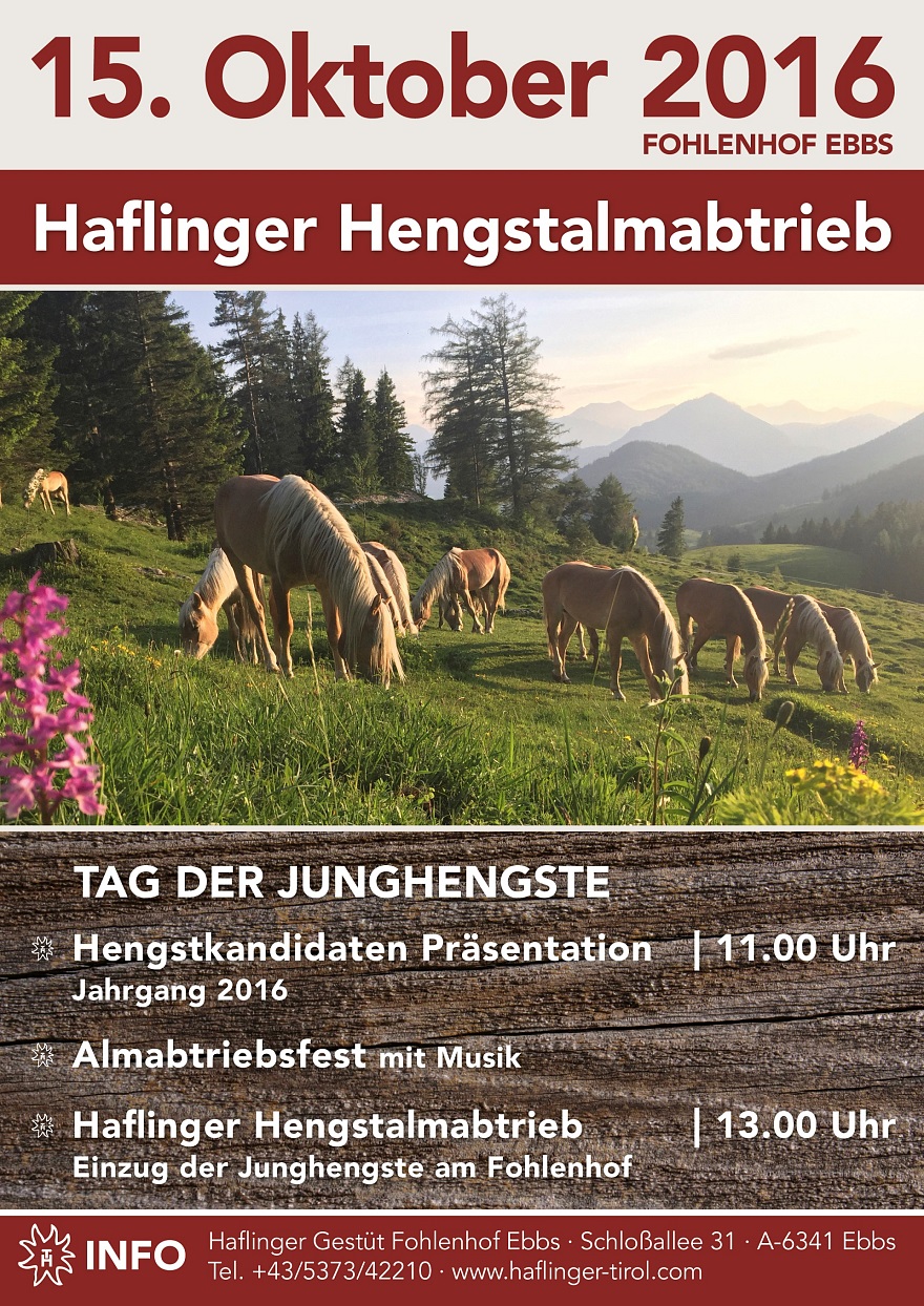 HaflingerHengstalmabtrieb_A4