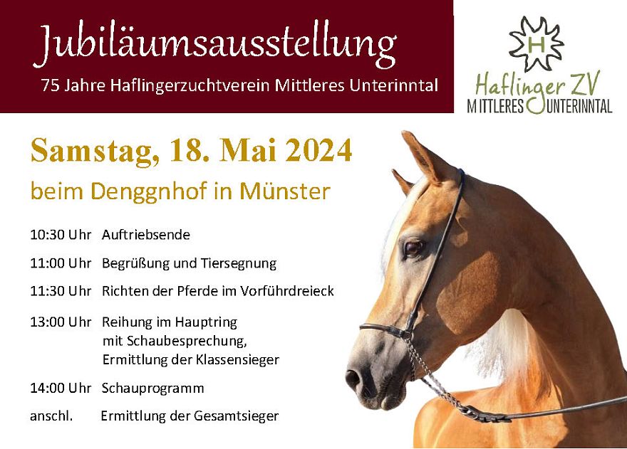 Esposizione del club Haflinger Mittleres Unterintal