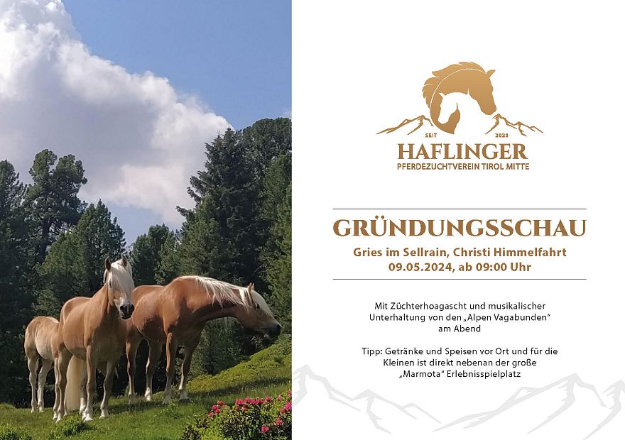 Poster Anniversario 65 anni Haflinger