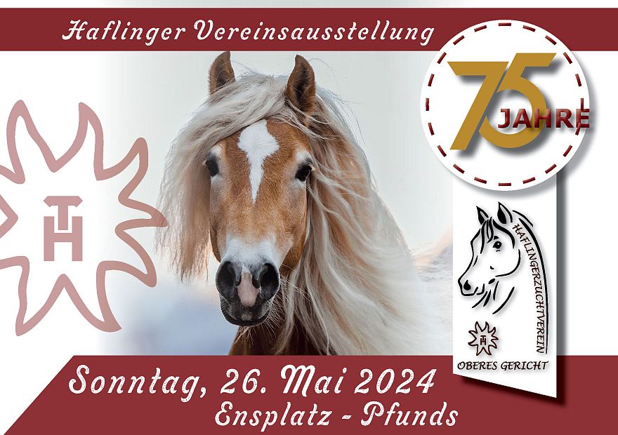 Haflinger Club Exhibition Upper Court