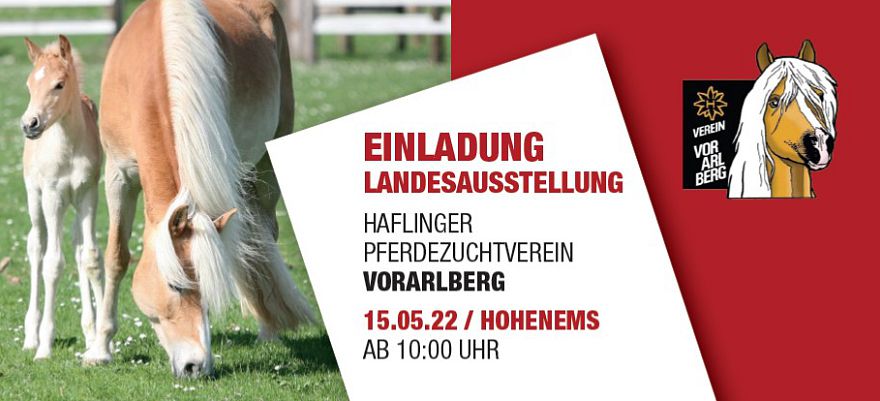 Jubiläumsausstellung Haflingerpferdezuchtverein Vorarlberg