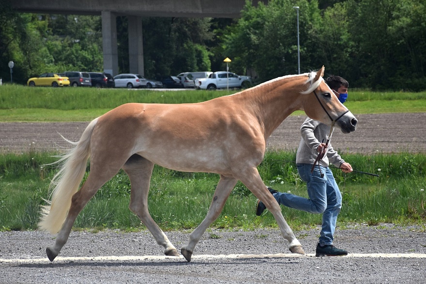 Naemi