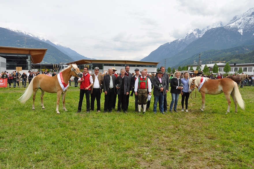 Osttiroler Bezirks Pferde Aussttellung