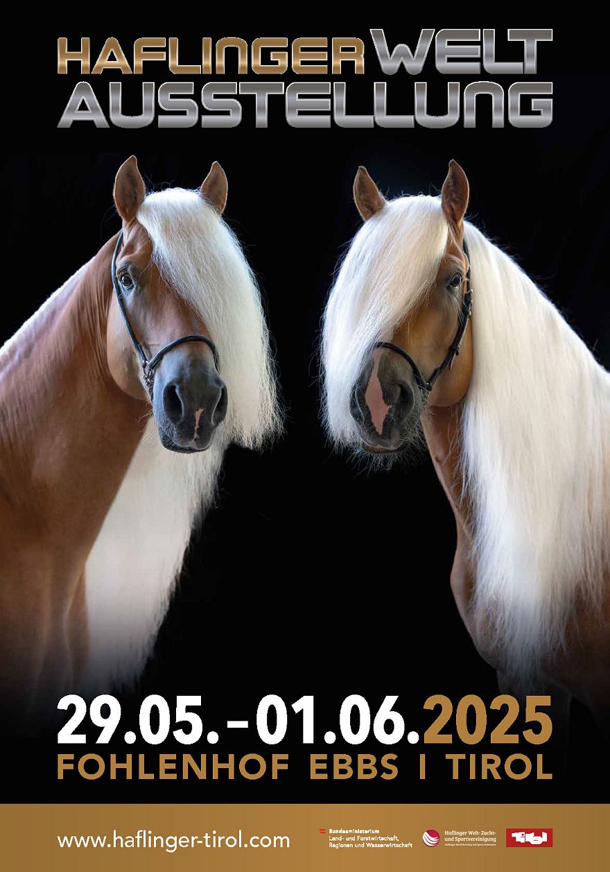 Plakat Haflinger Weltausstellung 2025