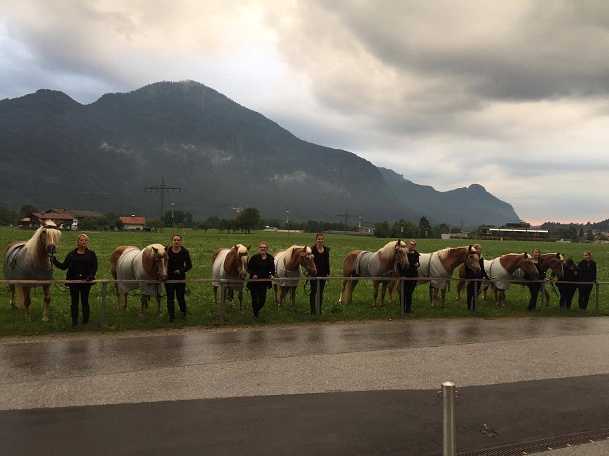 Tiroler Haflinger Pferde - Walküren Pferde Tiroler Festspiele Erl