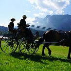 Landesmeisterschaften_Gespannfahren_Fohlenhof_Ebbs_Fotograf_Anita_Baumgartner