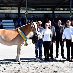 20539/NL Elitestutenschau 2019 Fotograf Rainer Nutz