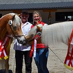 ARGE Haflinger Bundesjungstutenschau - Fotograf Rainer Nutz