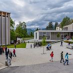 Fohlenhof Ebbs _ Fotograf Hubert Berger