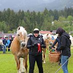 Jubiläumsausstellung 70 Jahre Haflinger Pferdezuchtverein mittleres Unterinnal _Foto Sarah Brunner