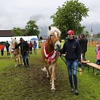 Jubiläumsausstellung 70 Jahre Haflinger Pferdezuchtverein mittleres Unterinnal _Foto Sarah Brunner