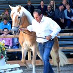 20487/T Loredana Elitestutenschau 2019 Fotograf Rainer Nutz